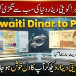 Kuwaiti Dinar to PKR Rate