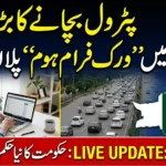 Work From Home Pakistan proposal